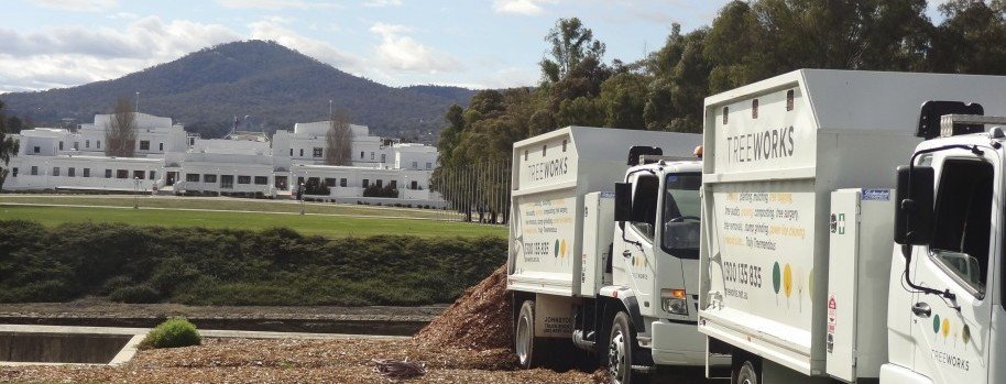https://treeworks.net.au/wp-content/uploads/2015/07/Mulch-delivery-near-Lake-Burley-Griffen-e1437535591107.jpg